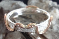 zilveren ring met twee roodgouden esculapen