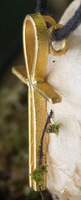 Zijkant van een zuiver gouden Ankh met onzichtbare ogen aan de achterkant om aan een koord te hangen.