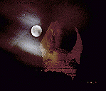 Foto Sfinx bij maanlicht